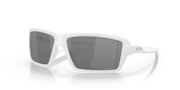 prizm black polarized