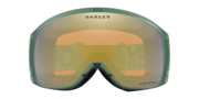 Flight Tracker M Snow Goggles - Matte Jade