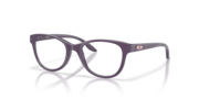 Aubergine