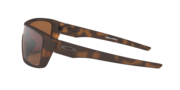 Straightback - Matte Brown Tortoise