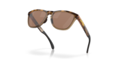 Frogskins™ Range (Low Bridge Fit) - Brown Tortoise/Brown Smoke