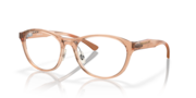Polished Transparent Sepia