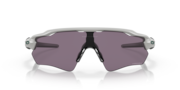 Radar® EV Path® - Matte Cool Grey