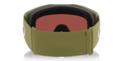 Fall Line L Snow Goggles - Fern