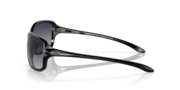 Cohort - Polished Black