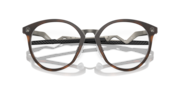 Cognitive R - Polished Brown Tortoise