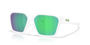 prizm tungsten polarized
