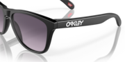 Frogskins™ (Low Bridge Fit) - Matte Black