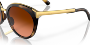 Top Knot™ - Brown Tortoise