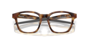 Shackle - Matte Brown Tortoise