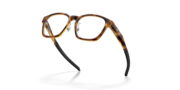 Shackle - Matte Brown Tortoise