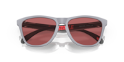 Frogskins™ x STAPLE - Staple Fog