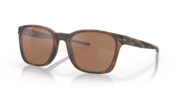 prizm tungsten polarized