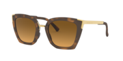 Side Swept - Matte Brown Tortoise