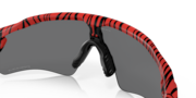 Radar® EV Path® - Red Tiger