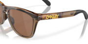 Frogskins™ Range (Low Bridge Fit) - Brown Tortoise/Brown Smoke