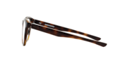Grounded™ - Polished Tortoise