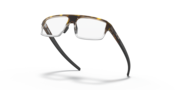 Cogswell - Polished Sepia Brown Tortoise