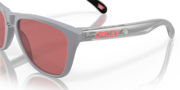 Frogskins™ x STAPLE - Staple Fog