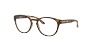 Satin Brown Tortoise