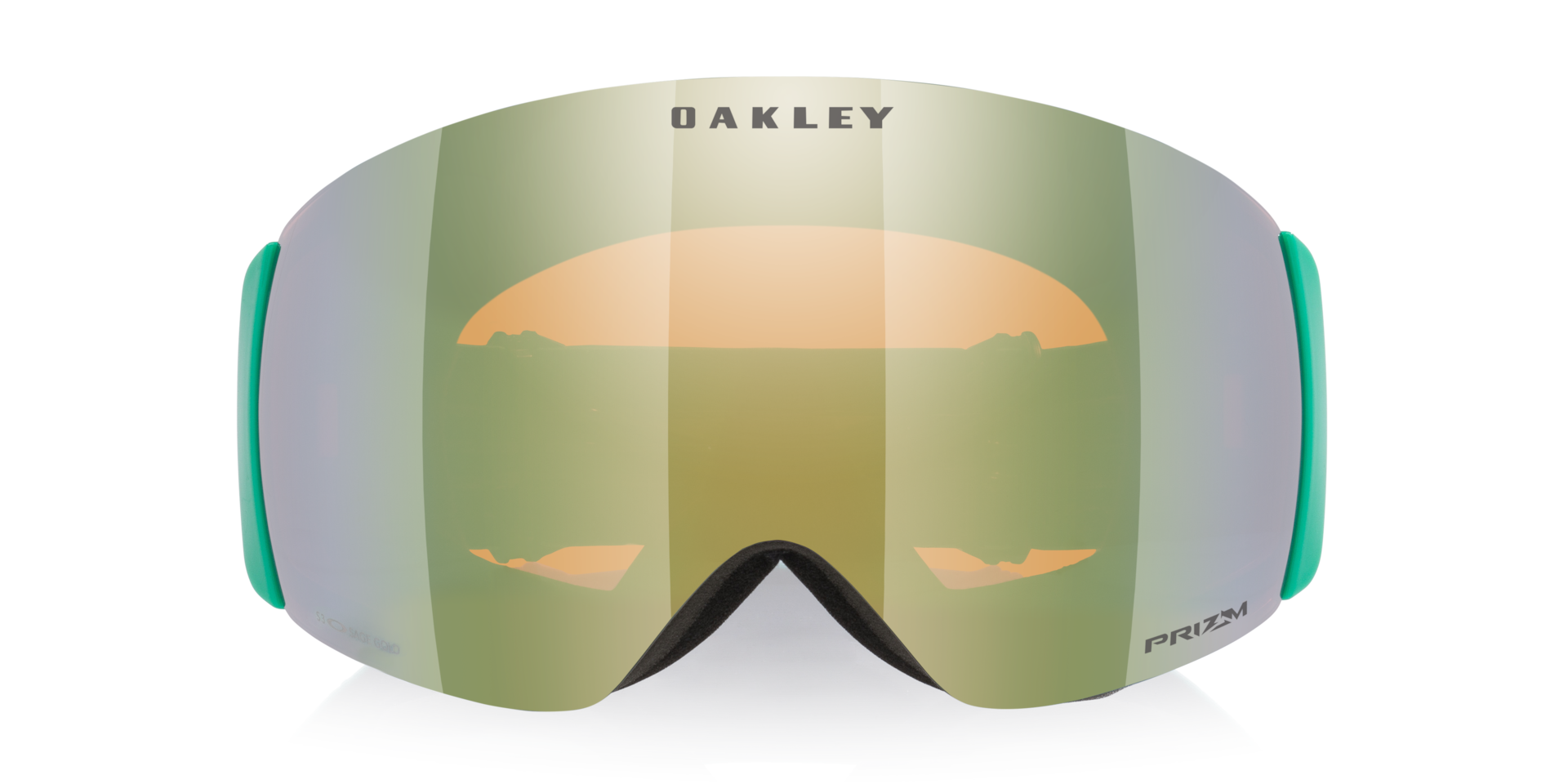 Oakley Flight Deck™ Pro M Snow Goggles with Matte Black Strap and