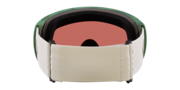 Flight Path L Snow Goggles - Cool Grey Fog