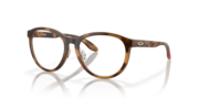 Satin Brown Tortoise