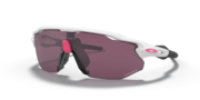 Radar® EV Advancer Radar® EV Advancer
