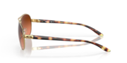 Feedback - Polished Gold