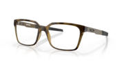 Satin Brown Tortoise