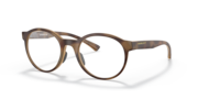 Satin Brown Tortoise