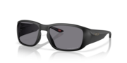 prizm grey polarized