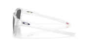 Baltimore Ravens Briza - Matte Clear