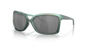 prizm black polarized