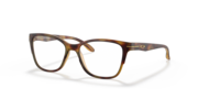 Satin Brown Tortoise