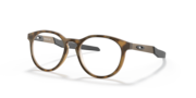Satin Brown Tortoise