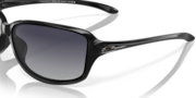 Cohort - Polished Black
