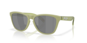 prizm black polarized