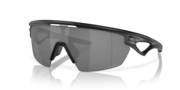 prizm black polarized
