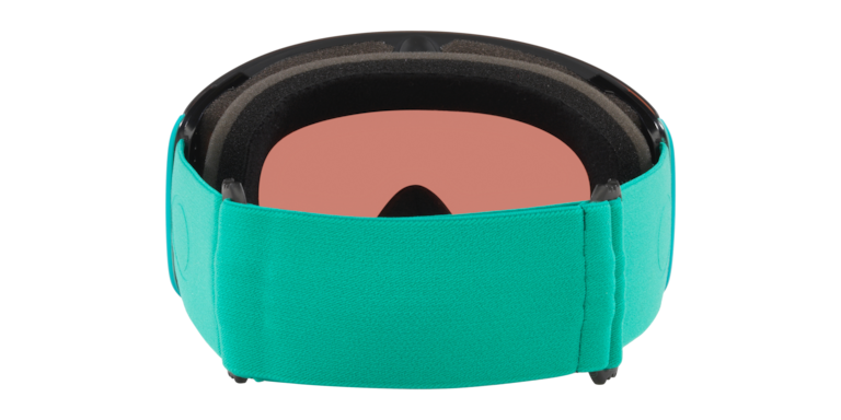 Flight Deck™ L Snow Goggles - Celeste