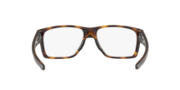 Mainlink™ (TruBridge™) - Brown Tortoise