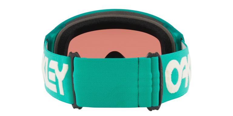 Flight Tracker L Snow Goggles - Celeste