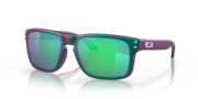 Holbrook™ Troy Lee Designs Series Holbrook™ Troy Lee Designs Series