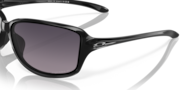 Cohort - Polished Black