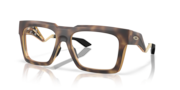 Satin Brown Tortoise