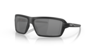 prizm black polarized