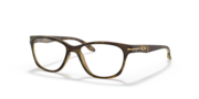 Satin Brown Tortoise