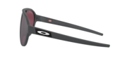 Forager - Matte Carbon
