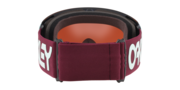 Flight Deck™ L Snow Goggles - Factory Pilot Progression