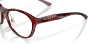 Draw Up - Polished Transparent Brick Red